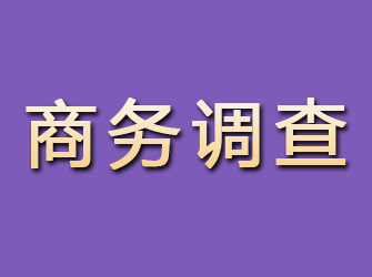 邹平商务调查